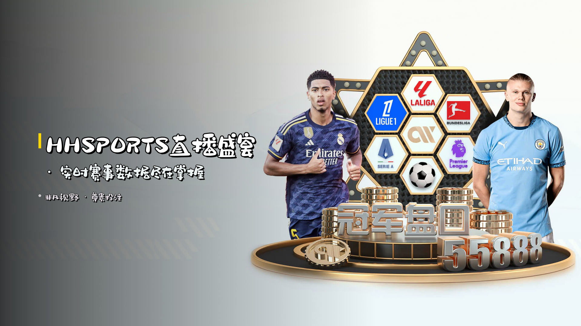 <strong>HHSPORTS</strong>直播盛宴 · 实时赛事数据<em>尽在掌握</em>